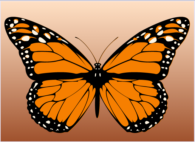 Image background-rect.png